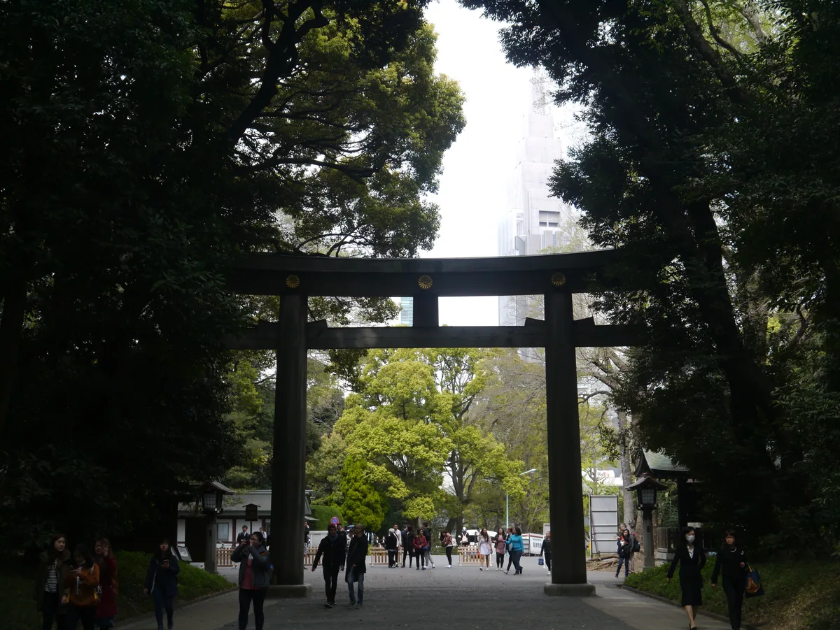 木々に囲まれた明治神宮の鳥居と、その先に続く道