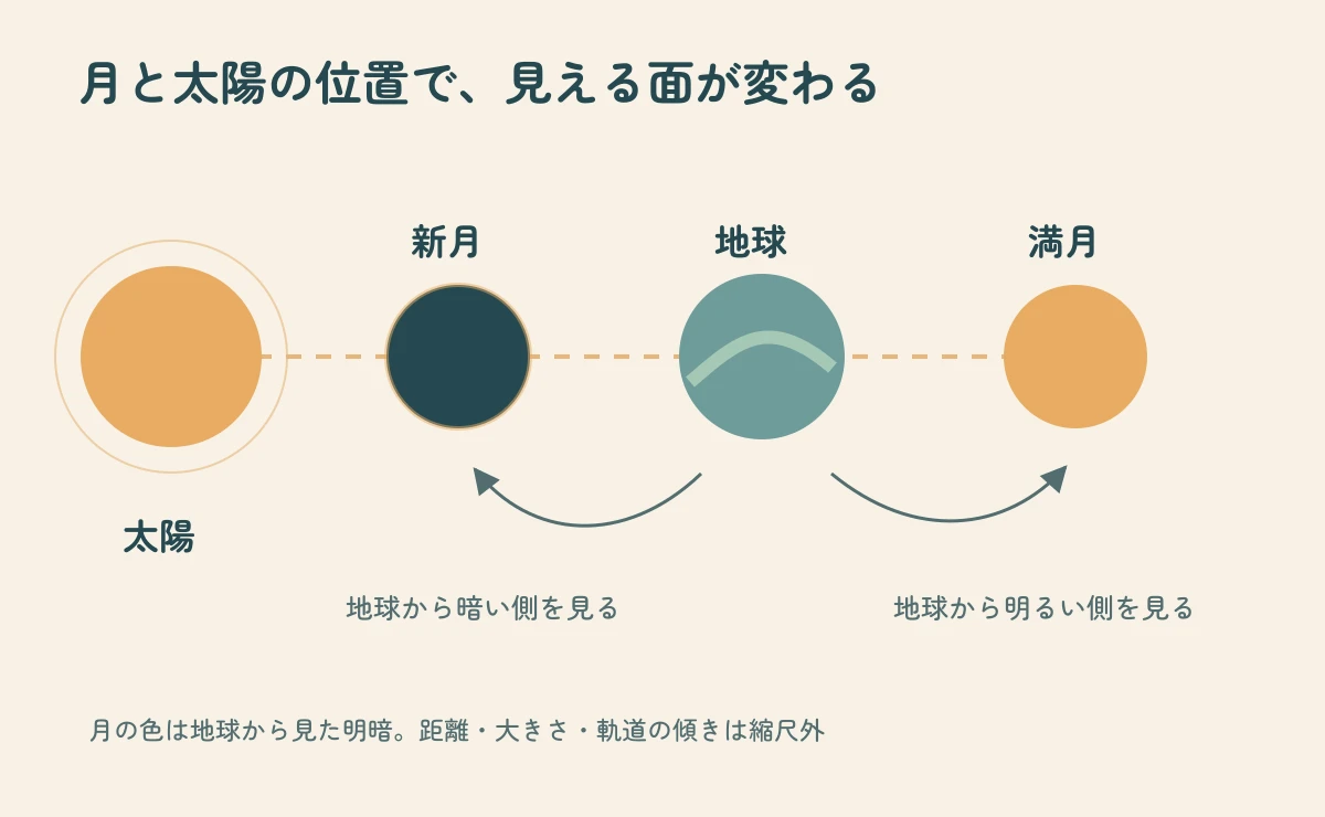 左の太陽、中央の地球、その間の新月、地球の反対側の満月の位置関係を示す模式図