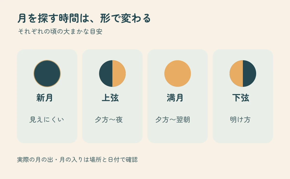 新月は太陽に近く見えにくい、上弦は夕方、満月は夕方から朝、下弦は明け方が目安と示す時間帯の図
