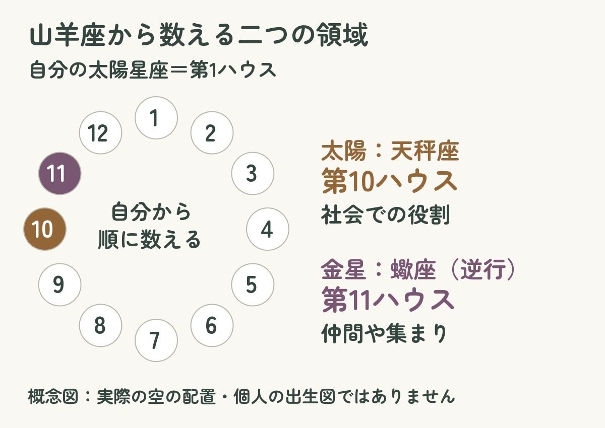 山羊座から数えると太陽の天秤座は第10、金星の蠍座は第11ハウスになる概念図