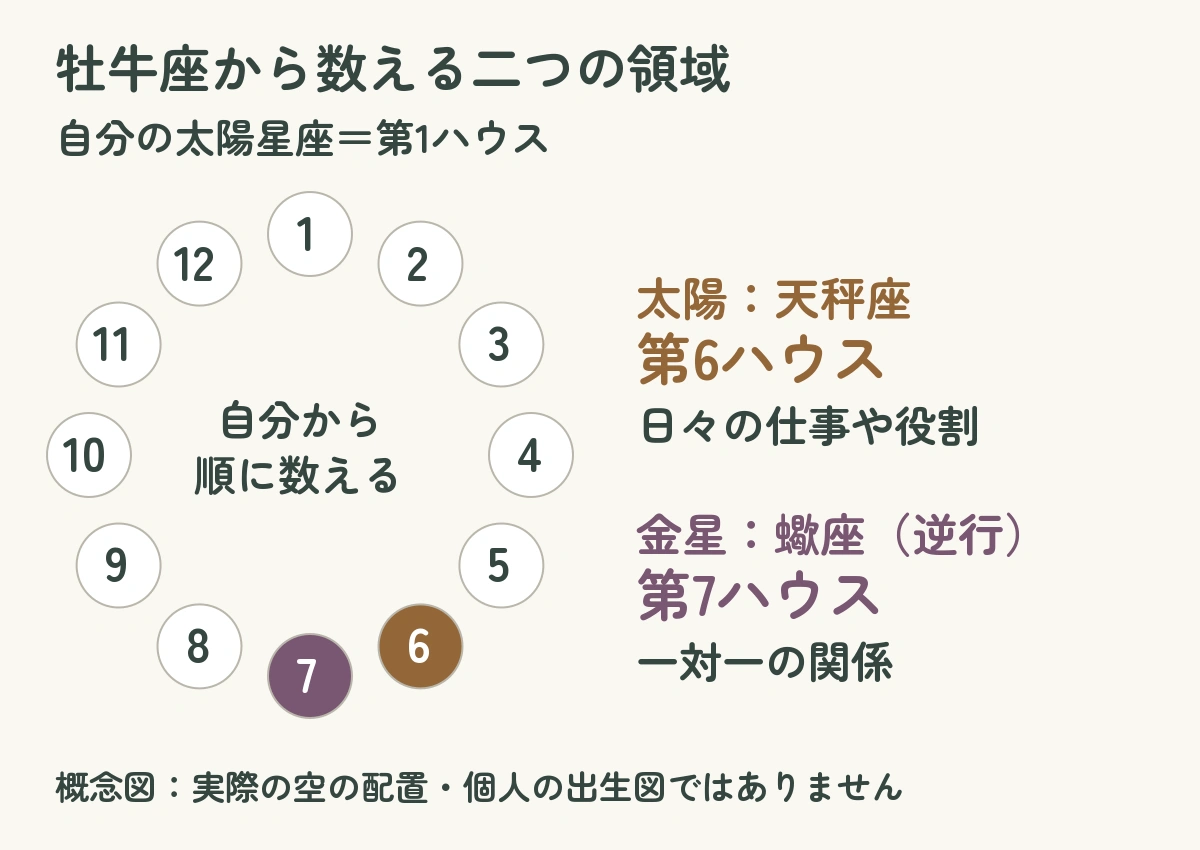 牡牛座から数えると太陽の天秤座は第6、金星の蠍座は第7ハウスになる概念図